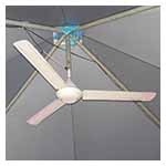 Ceiling Fan